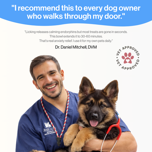 StillPaws™ Calm Hour Bowl