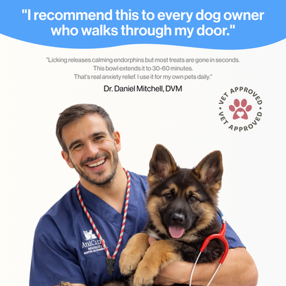 StillPaws™ Calm Hour Bowl