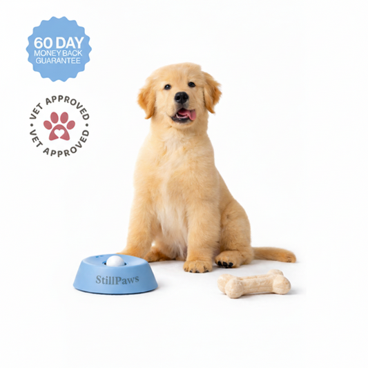 StillPaws™ Calm Hour Bowl